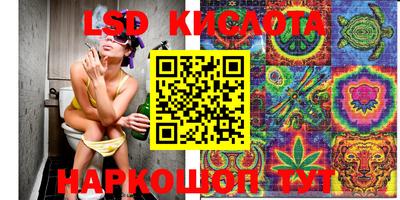шишки Моздок