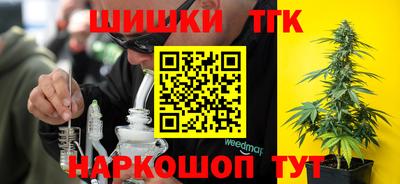 индика Можга