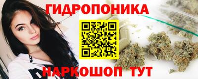 шишки Моздок
