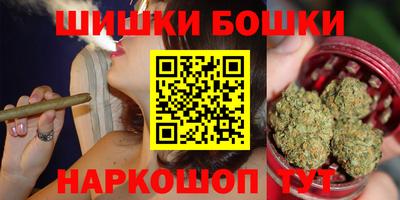 индика Можга