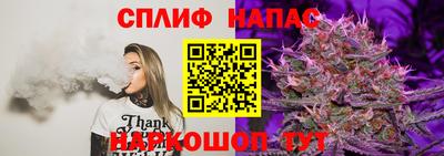 шишки Моздок